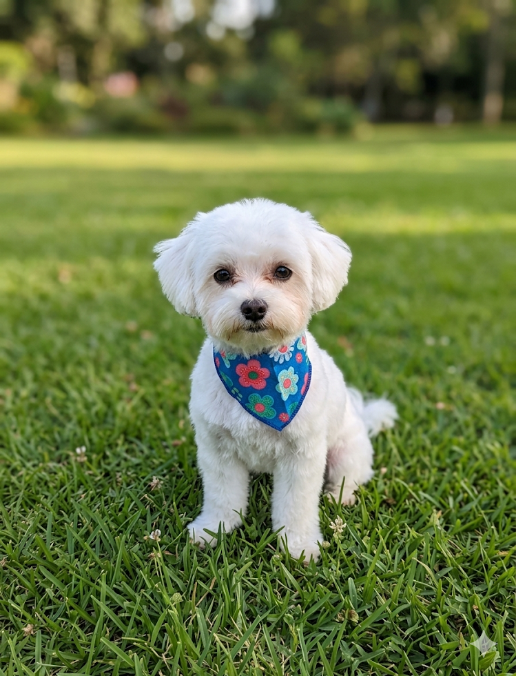 親切・丁寧・カットも完璧なサロン